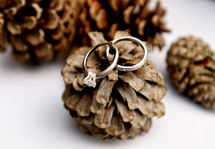 wedding-rings-pinecone