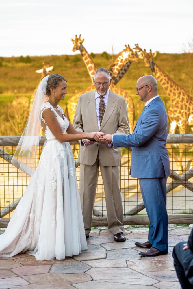 columbus ohio zoo wedding ceremony rings bly photography