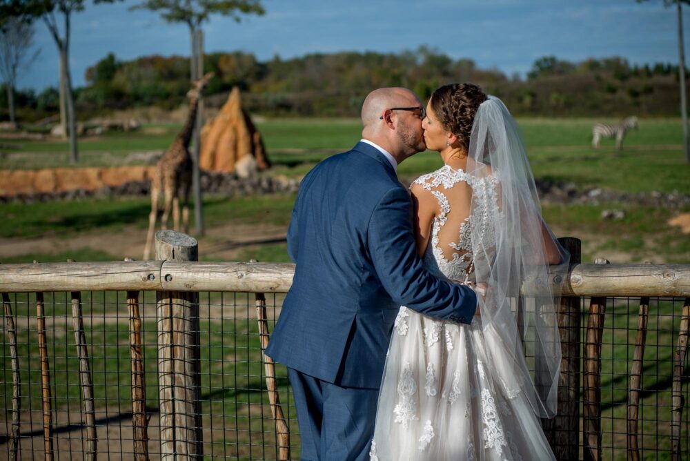 columbus zoo wedding kiss giraffe bly photography