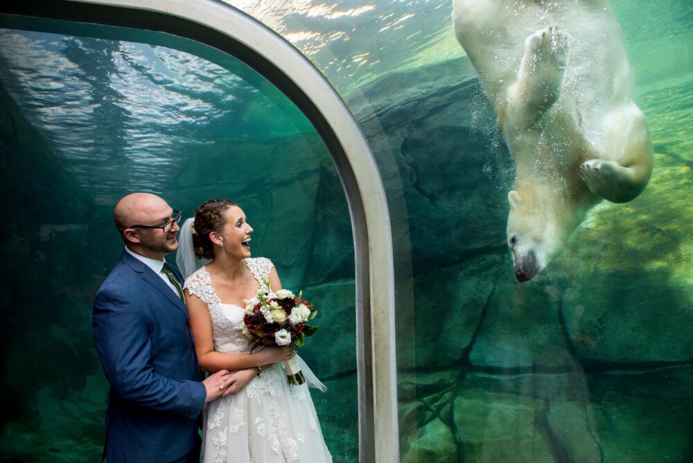 columbus zoo wedding polar bear