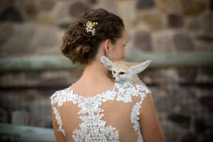 bride fox columbus zoo wedding 1