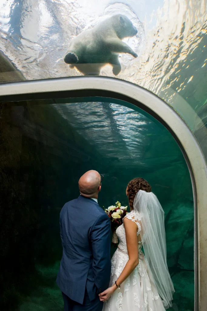 columbus ohio zoo wedding bear 1