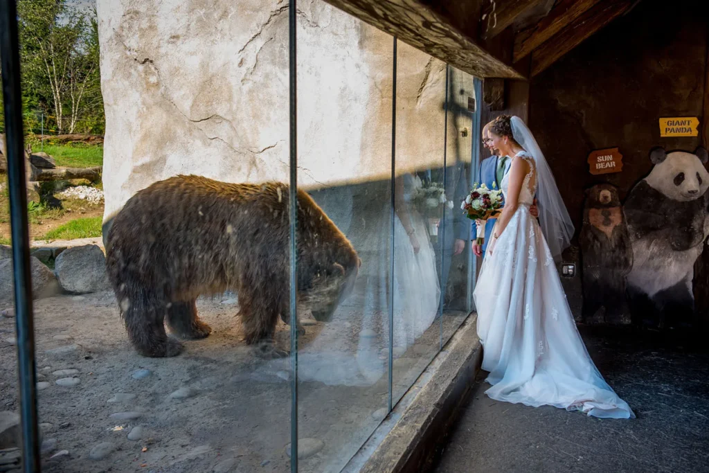 columbus zoo wedding bear exhibit