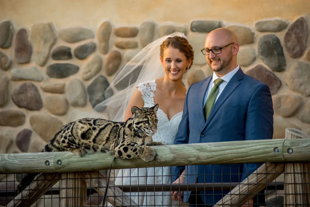 columbus zoo wedding leopards