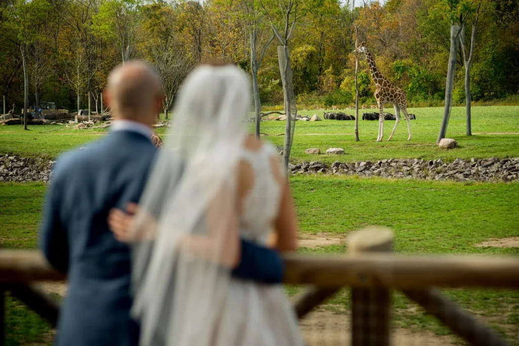 columbus zoo wedding viewing giraffe