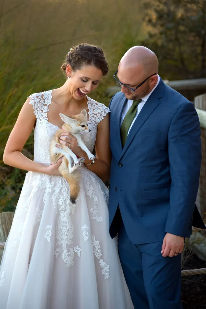 fennec fox columbus zoo wedding