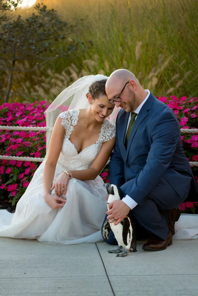 penguin columbus ohio zoo wedding