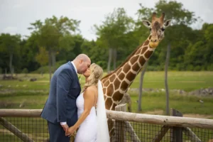 columbus zoo wedding giraffe kiss