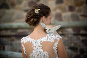 bride-fennec-fox-columbus-zoo-wedding-bly-photography.jpg