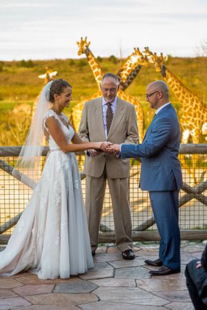 columbus-ohio-zoo-wedding-ceremony-rings-bly-photography.jpg