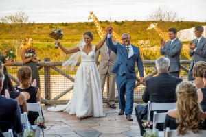 columbus-zoo-wedding-bride-groom-bly-photography.jpg