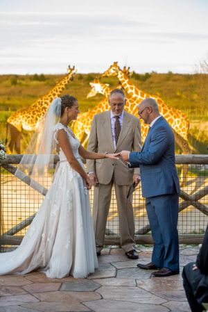 columbus-zoo-wedding-ceremony-rings-bly-photography.jpg