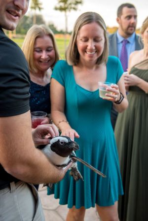 petting-penguin-columbus-zoo-wedding-bly-photography.jpg